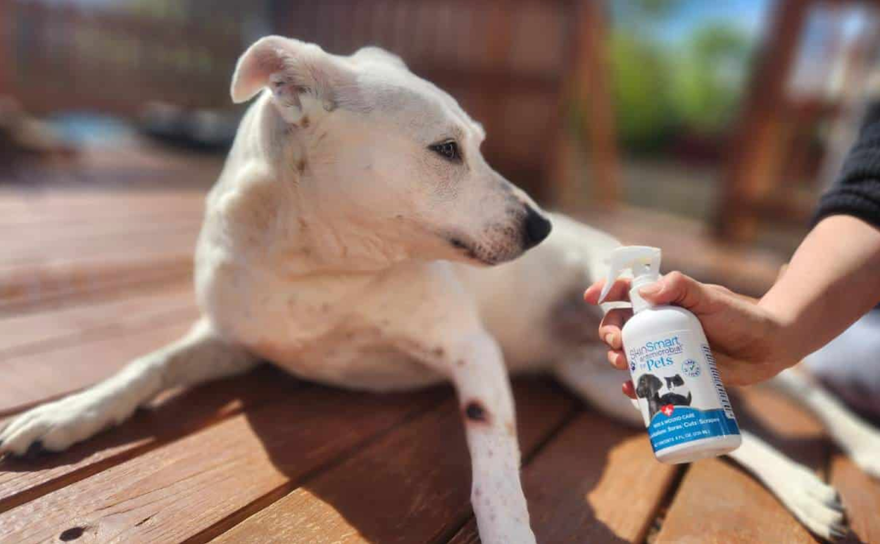 SkinSmart Anitmicrobial for Pets in Canine Journal