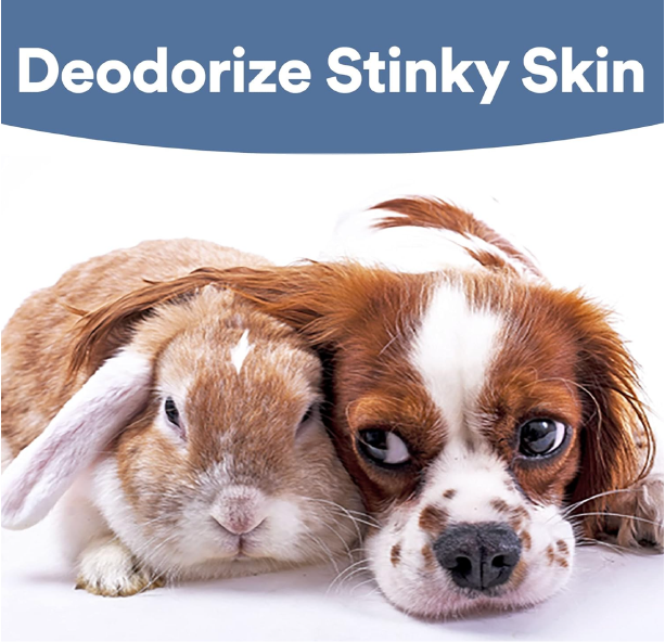 SkinSmart Antimicrobial Skin and Wound Care for Pets, Removes Bacteria to Promote Healing and Relieves Itch